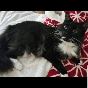 Meet your Posher, Meagan